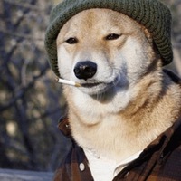 Александр Енин