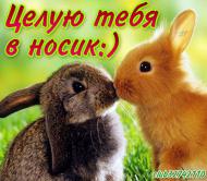 целую целую
