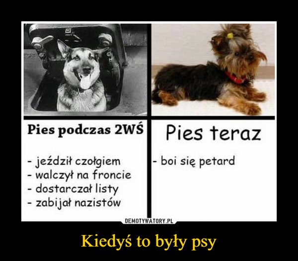 XsS4T0kKs3w.jpg