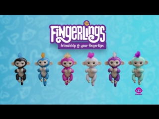 Fingerlings Baby Monkeys