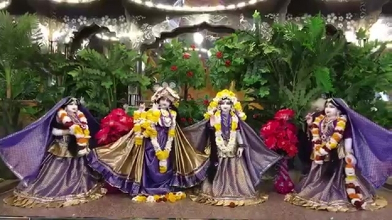 Siva Ratri Darsana! 14.02.2018