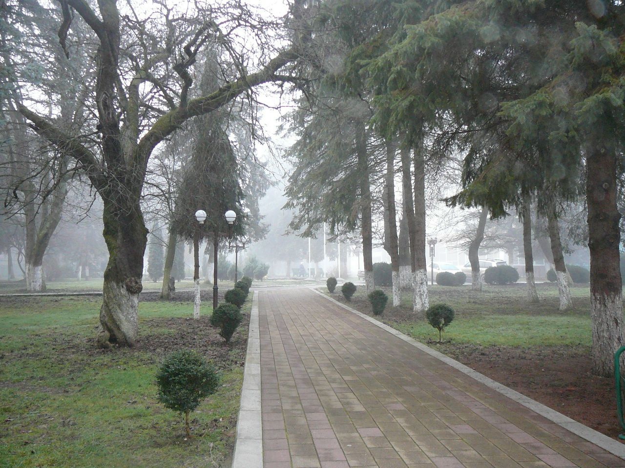 https://pp.userapi.com/c840537/v840537663/3ec79/6J1NxjhIbeY.jpg