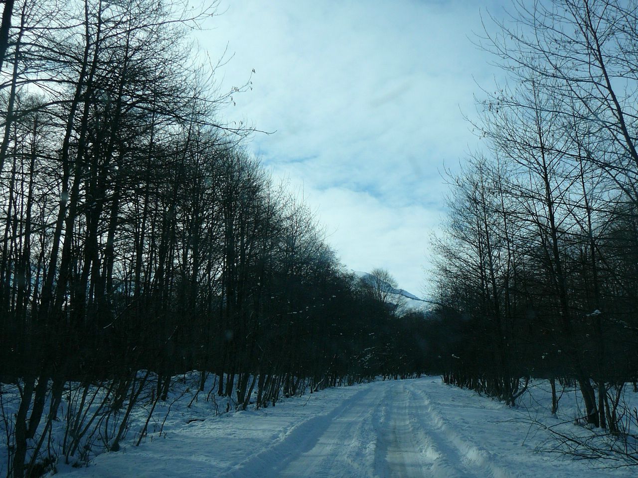 https://pp.userapi.com/c840537/v840537937/3e5c2/GSkiCDwzJOo.jpg