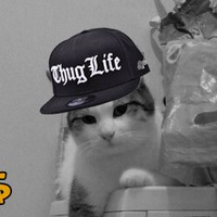 Влад Калашников