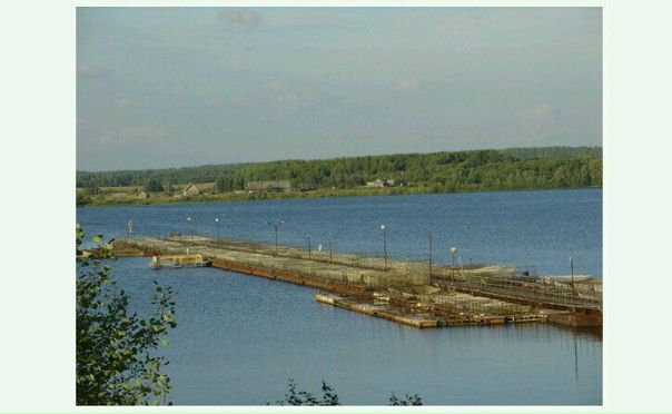 Продается рыбное хозяйство (здания, земельные участки, рыбопромысловые участки, торговые площади)<br><br>Адрес: Карелия, Пряжинский район, с. Крошнозеро, Тулмозеро, п.г.т. Пряжа<br><br>Тип сделки: Продажа<br><br>Цена: 330 мл.руб.<br> <br><br>Общество с ограниченной ответственностью «Рыбное хозяйство Гонганалицкое» было учреждено в 2004 году, на базе когда-то известного на всю страну Сямозерского опытно-экспериментального рыборазводного завода, основанного в 1965 году. В состав предприятия входят: прудовое хозяйство площадью 136,5 га, садковое хозяйство на оз. Крошнозеро (разведение осетра).<br><br>Форелевое и осетровое хозяйство на оз. Крошнозеро:<br><br>Рыбное форелевое хозяйство располагается на юго-восточном берегу озера Крошнозера в 76 км от столицы Республики Карелия г. Петрозаводск, находится на расстоянии 200м от Федеральной трассы А-121, проектная мощность – 50 тонн. Рыбное форелевое хозяйство включает в себя здание инкубационно-вырастного цеха, здание конторы, здание гаража, сооружения, садковую линию, секцию понтонной дороги.<br><br>Форелевое хозяйство на оз. Тумозеро:<br><br>Рыбное форелевое хозяйство располагается на берегу озера Тулмозеро в 131 км от столицы Республики Карелия г. Петрозаводск, находится на расстоянии 150 м от Федеральной трассы А-121, проектная мощность – 300 тонн. Рыбное форелевое хозяйство включает в себя складское помещение, сооружения, садковую линию. <br><br>Торговый комплекс и земельные участки в п.г.т. Пряжа:<br><br>Здание торгового комплекса, площадь – 255,3 кв.м. Адрес: республика Карелия, Пряжинский район, п.г.т. Пряжа ул. Гагарина д.12; Земельный участок, Площадь – 1561 кв.м. Адрес: республика Карелия, Пряжинский район, п.г.т. Пряжа ул. Гагарина д.12; Земельный участок, Площадь – 825 кв.м. Адрес: республика Карелия, Пряжинский район, п.г.т. Пряжа<br><br>Склад и земельные участки в п.г.т. Пряжа:<br><br>Здание гаража, объект незавершенного строительства (гараж с 3 ремонтными боксами), площадь застройки 670,7 кв. м, степень готовности 73%. Адрес: республика Карелия, Пряжинский район, п.г.т. Пряжа ул. Строительная. Земельный участок, площадь 1440,0 кв.м. Адрес: республика Карелия, Пряжинский район, п.г.т. Пряжа ул. Строительная.<br>Магазин с.Крошнозеро:<br><br>Помещение нежилого фонда, площадью 96,4 кв.м. Адрес: республика Карелия, Пряжинский район, с. Крошнозеро ул. Магистральная д.14, пом. 1Н.<br> <br>Отчетность: Итоги на 2016 год<br><br>ИТОГО доходы 128 079 840 руб.<br><br>ИТОГО расходы 74 301 600 руб. <br><br>Результат (прибыль /-убыток) 53 778 240 руб.<br><br>Окупаемость: 5,5 лет. - фото Фото: Продается рыбное хозяйство (здания, земельные участки, рыбопромысловые участки, торговые площади)<br><br>Адрес: Карелия, Пряжинский район, с. Крошнозеро, Тулмозеро, п.г.т. Пряжа<br><br>Тип сделки: Продажа<br><br>Цена: 330 мл.руб.<br> <br><br>Общество с ограниченной ответственностью «Рыбное хозяйство Гонганалицкое» было учреждено в 2004 году, на базе когда-то известного на всю страну Сямозерского опытно-экспериментального рыборазводного завода, основанного в 1965 году. В состав предприятия входят: прудовое хозяйство площадью 136,5 га, садковое хозяйство на оз. Крошнозеро (разведение осетра).<br><br>Форелевое и осетровое хозяйство на оз. Крошнозеро:<br><br>Рыбное форелевое хозяйство располагается на юго-восточном берегу озера Крошнозера в 76 км от столицы Республики Карелия г. Петрозаводск, находится на расстоянии 200м от Федеральной трассы А-121, проектная мощность – 50 тонн. Рыбное форелевое хозяйство включает в себя здание инкубационно-вырастного цеха, здание конторы, здание гаража, сооружения, садковую линию, секцию понтонной дороги.<br><br>Форелевое хозяйство на оз. Тумозеро:<br><br>Рыбное форелевое хозяйство располагается на берегу озера Тулмозеро в 131 км от столицы Республики Карелия г. Петрозаводск, находится на расстоянии 150 м от Федеральной трассы А-121, проектная мощность – 300 тонн. Рыбное форелевое хозяйство включает в себя складское помещение, сооружения, садковую линию. <br><br>Торговый комплекс и земельные участки в п.г.т. Пряжа:<br><br>Здание торгового комплекса, площадь – 255,3 кв.м. Адрес: республика Карелия, Пряжинский район, п.г.т. Пряжа ул. Гагарина д.12; Земельный участок, Площадь – 1561 кв.м. Адрес: республика Карелия, Пряжинский район, п.г.т. Пряжа ул. Гагарина д.12; Земельный участок, Площадь – 825 кв.м. Адрес: республика Карелия, Пряжинский район, п.г.т. Пряжа<br><br>Склад и земельные участки в п.г.т. Пряжа:<br><br>Здание гаража, объект незавершенного строительства (гараж с 3 ремонтными боксами), площадь застройки 670,7 кв. м, степень готовности 73%. Адрес: республика Карелия, Пряжинский район, п.г.т. Пряжа ул. Строительная. Земельный участок, площадь 1440,0 кв.м. Адрес: республика Карелия, Пряжинский район, п.г.т. Пряжа ул. Строительная.<br>Магазин с.Крошнозеро:<br><br>Помещение нежилого фонда, площадью 96,4 кв.м. Адрес: республика Карелия, Пряжинский район, с. Крошнозеро ул. Магистральная д.14, пом. 1Н.<br> <br>Отчетность: Итоги на 2016 год<br><br>ИТОГО доходы 128 079 840 руб.<br><br>ИТОГО расходы 74 301 600 руб. <br><br>Результат (прибыль /-убыток) 53 778 240 руб.<br><br>Окупаемость: 5,5 лет.