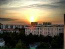 Объявление от Vasiliy - фото №1