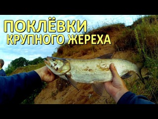 ТРИ классные зрелищные поклёвки КРУПНОГО ЖЕРЕХА - СЕЗОН 2017! + АНОНС СЛЕДУЮЩЕЙ РЫБ...