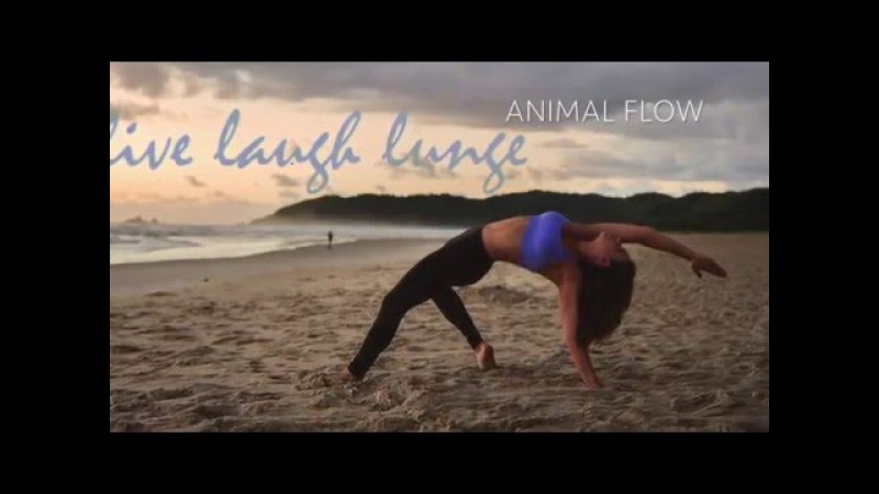 Animal Flow Fitness with Jaz Ellery