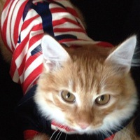 Наталья Коваленко | Красноярск