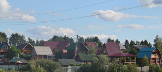 Договор с председателем снт образец