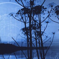 Александр Александров