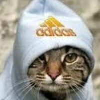 Егор Зверев | 