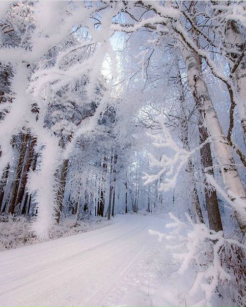 Finland 