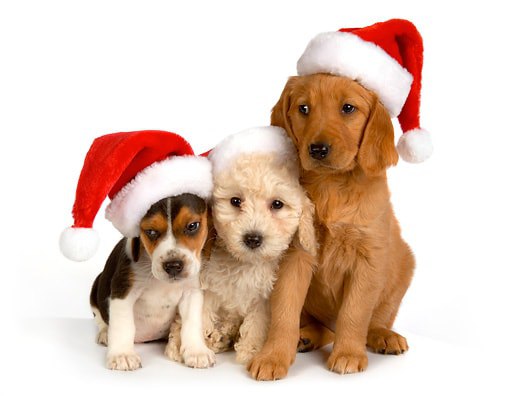 С Новым годом!