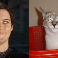 Юрий Афанасьев