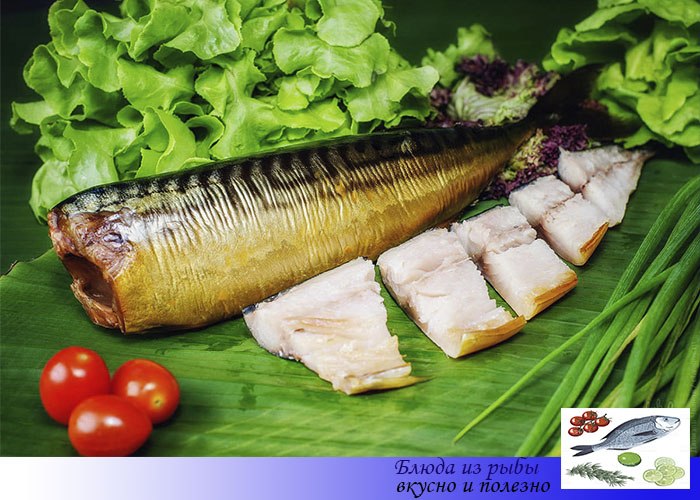 Коптить скумбрию вкусно