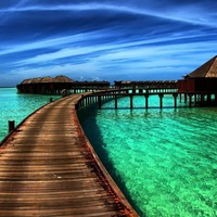 Егор Коньков |