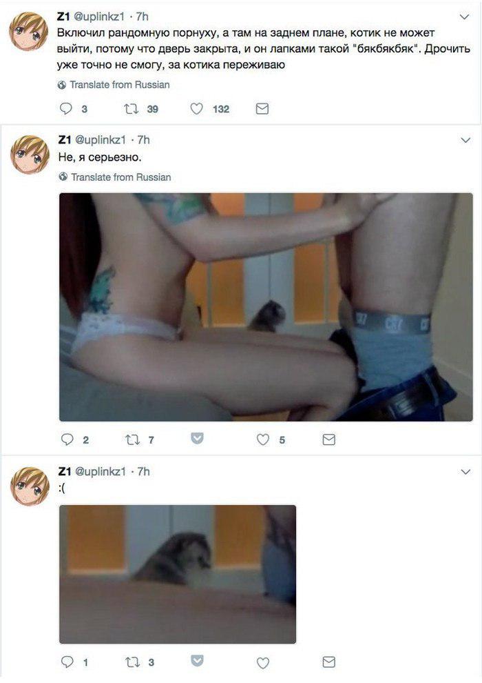 Pyny7fi13ao.jpg