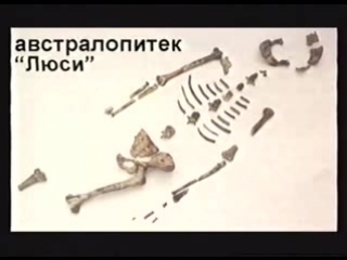 Кент Ховинд - Эдемский сад (семинар 2) (Земле около 6000 лет! а не милионы!!!)