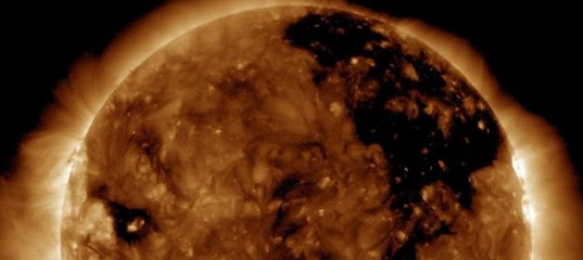 Астрологическая Программа Вега Матрица