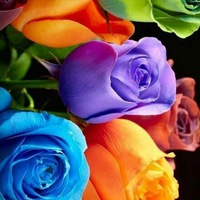 Айгуль Баймурзина