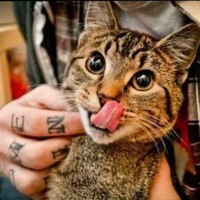 Екатерина Ильюшко-Горшенкова