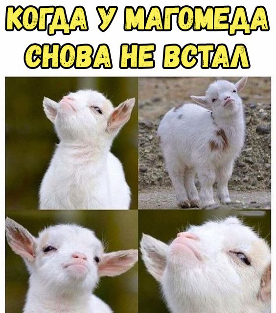 mQBccBQ4zCE.jpg