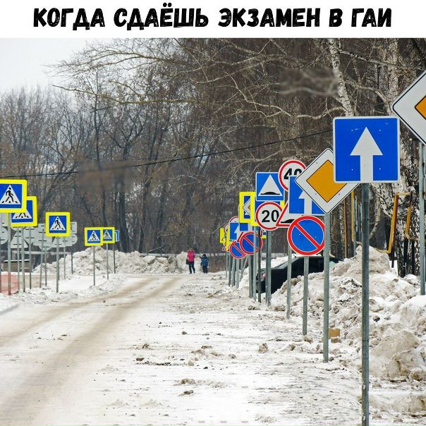 Волгу экзамены когда