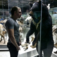 Сергей Илларионов | 