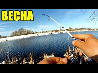 ВЕСЕННИЙ СПИННИНГ! И такое бывает - МИКРУХА проиграла...(ВИДЕО-ОТЧЁТ)