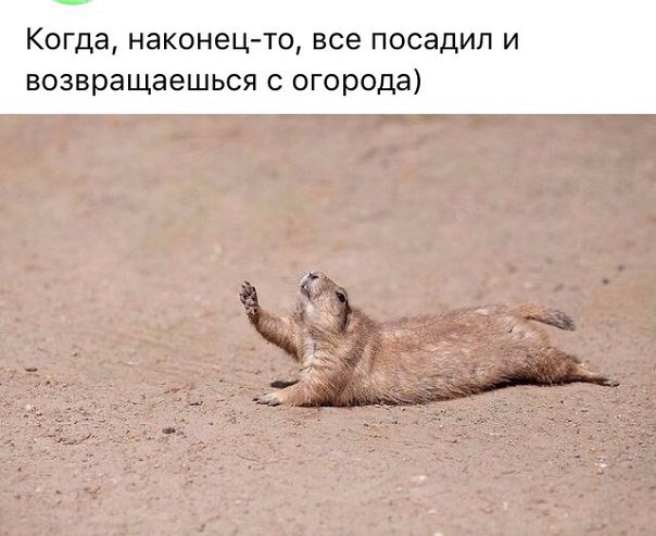 https://pp.userapi.com/c840637/v840637024/87273/C1xaeEeV200.jpg