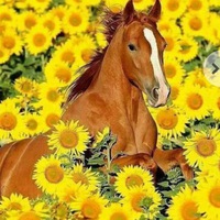 Виктория Круглова | Благовещенск