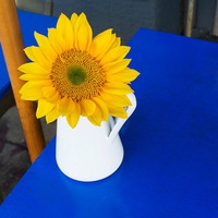 Дарья Трофимова | Харьков