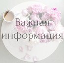 Объявление от Алина - фото №1