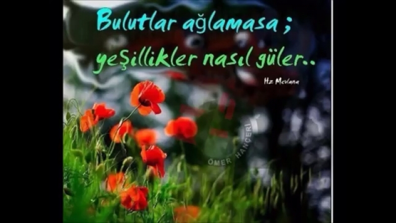 Mevlana altin öyütler
