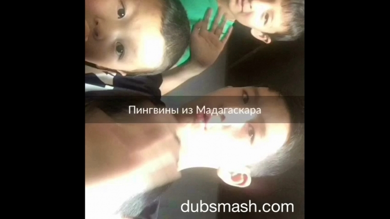Пингвины из Мадагаскара