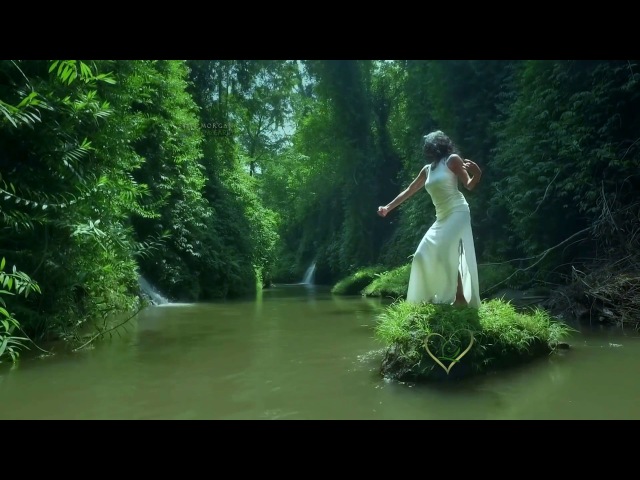 SPIRIT OF THE EARTH - Stive Morgan