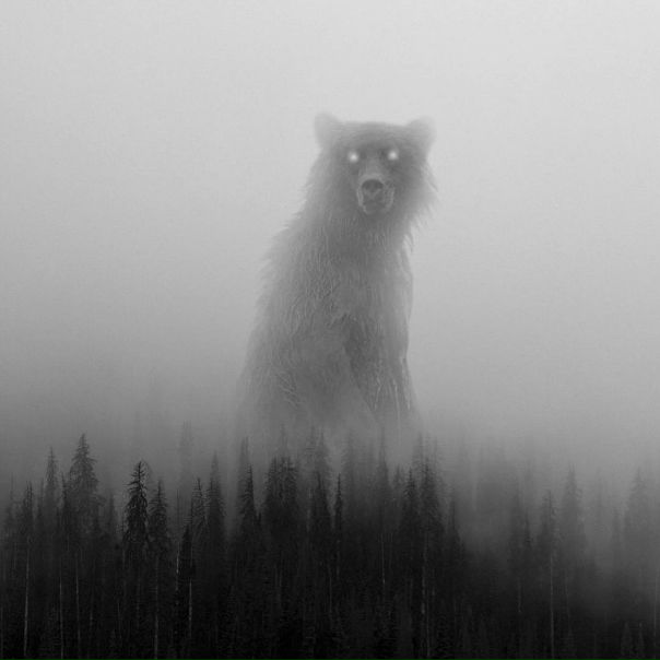 На ночь глядя, где-то на Севере...