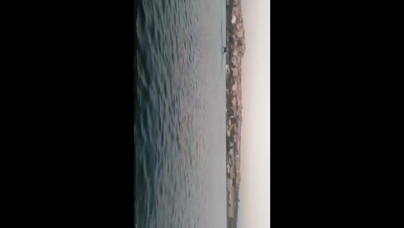 Fatih Mülayim - Live