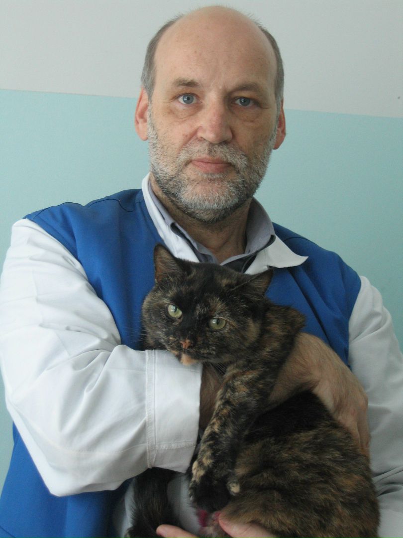 Кошки в нашей жизни. Кошки и все, что с ними связано.