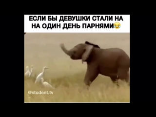 Instamusor если бы девушки стали на один день парнями