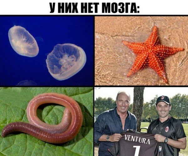 jxpXAXTcn6o.jpg