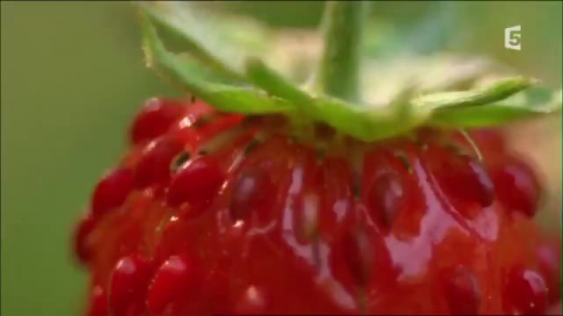 VIDEO-000000 (1)