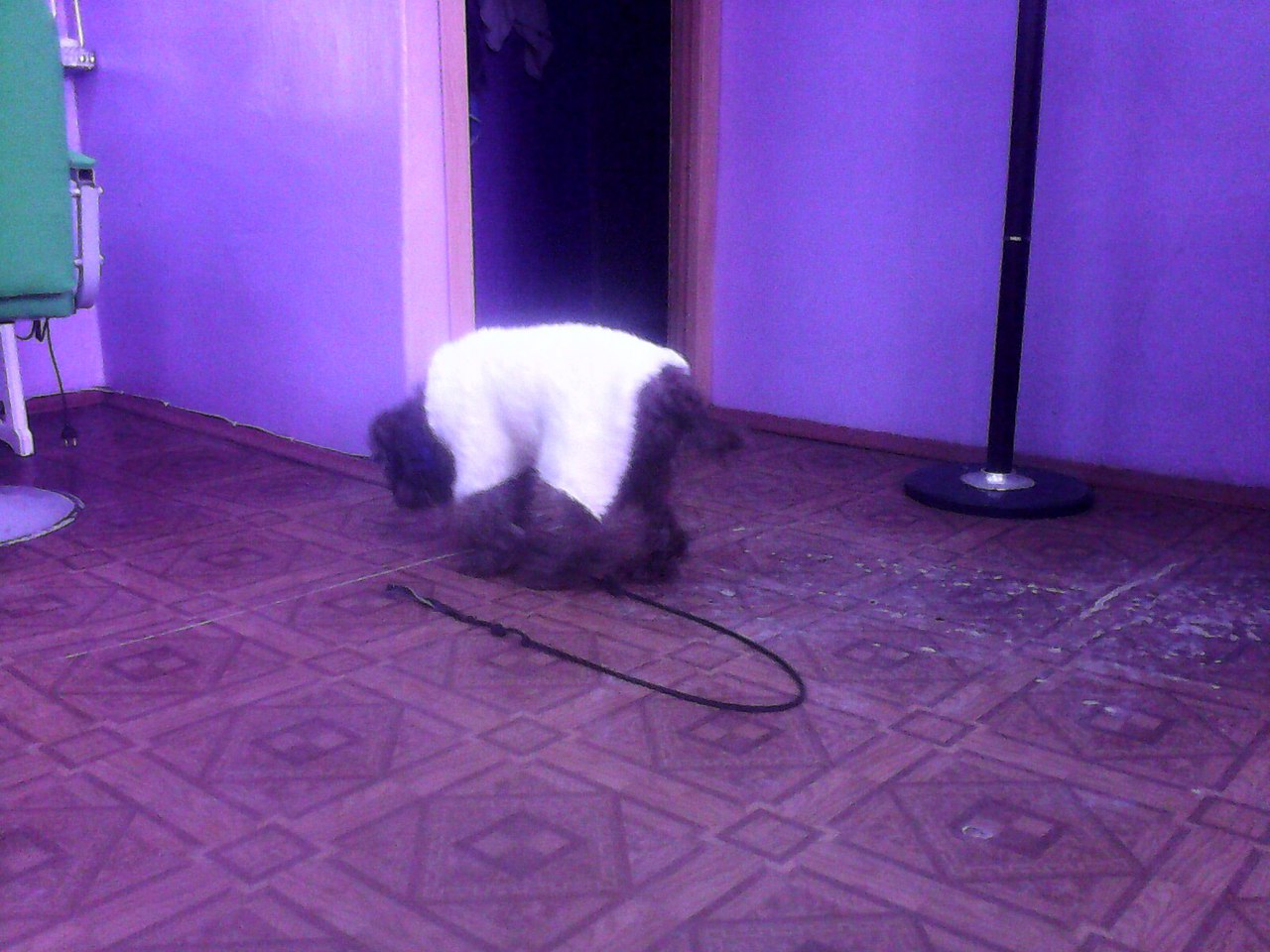 [Изображение: how0XYngiyk.jpg]