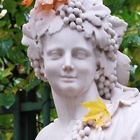 Наташа Пушницына