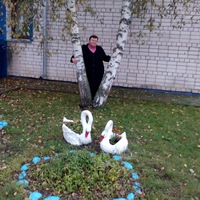 Ирина Пехтерева | 