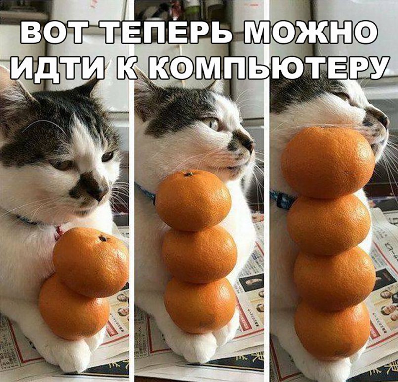 5dpxlRoRQEA.jpg