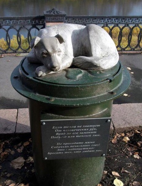 Злая Зорка Краткое Содержание Шемякин