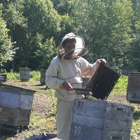 Александр Пшеничников | 