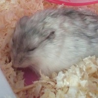 Ольга Клепикова | 